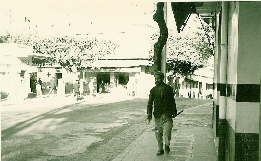 1017-0.jpg