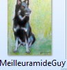 MeilleuramideGuy.JPG