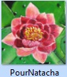 PourNatacha.JPG