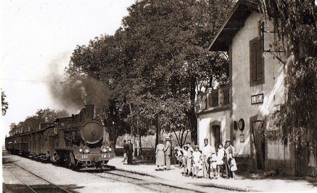 train6.jpg