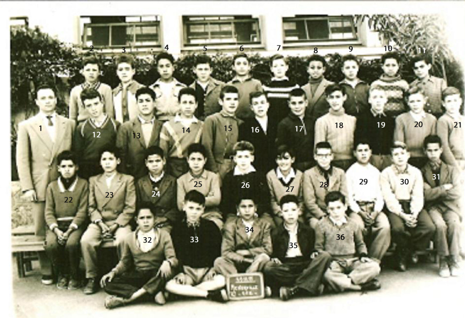 menerville1955.jpg