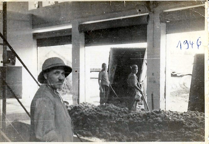 CiancioNicolas.jpg