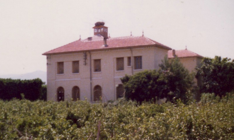 FelixFaure06.jpg