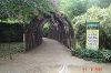 DSC08568.JPG