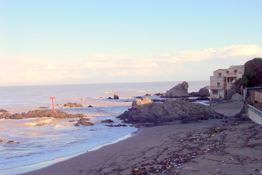 figuierplage3.jpg