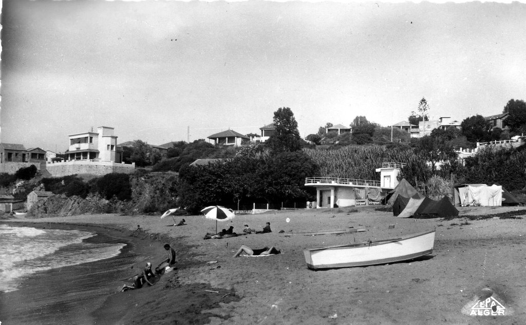 figuierplage6.jpg