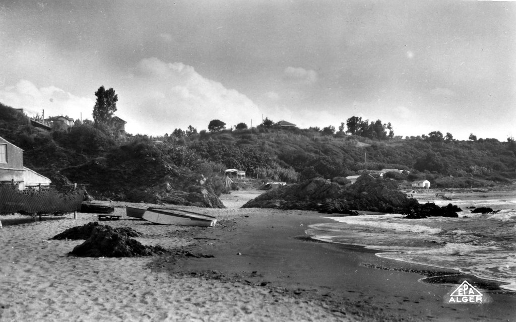 figuierplage7.jpg