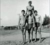 Figuier1960.jpg