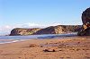 figuierplage1.jpg