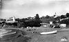 figuierplage6.jpg