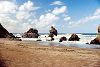 figuierplage9.jpg