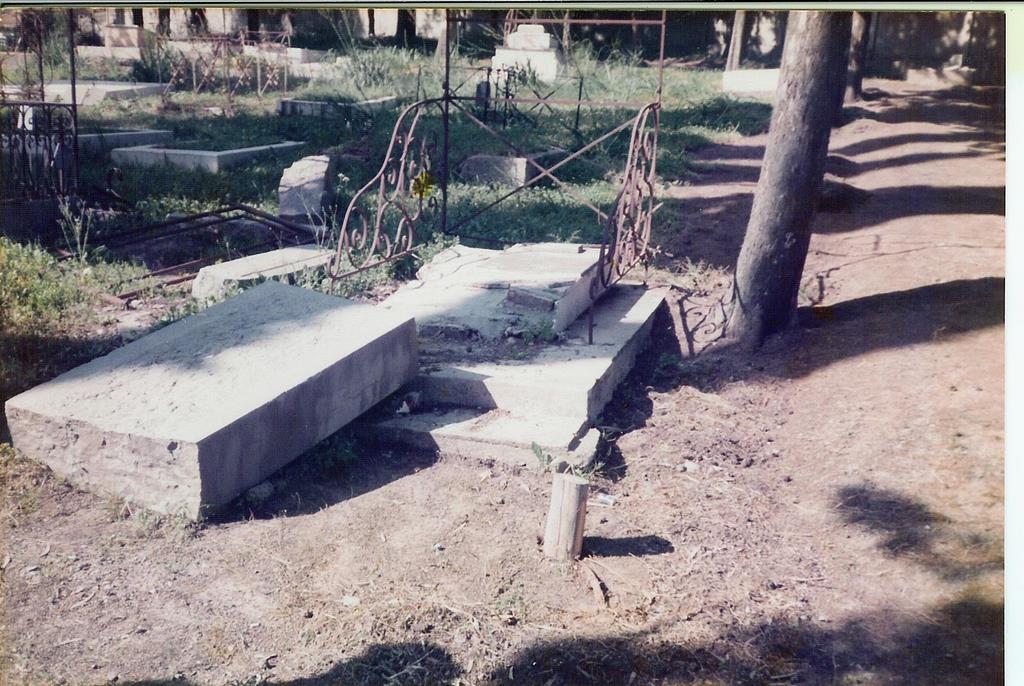 1005.jpg