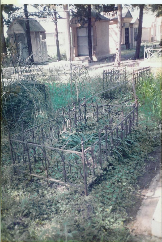 1007.jpg