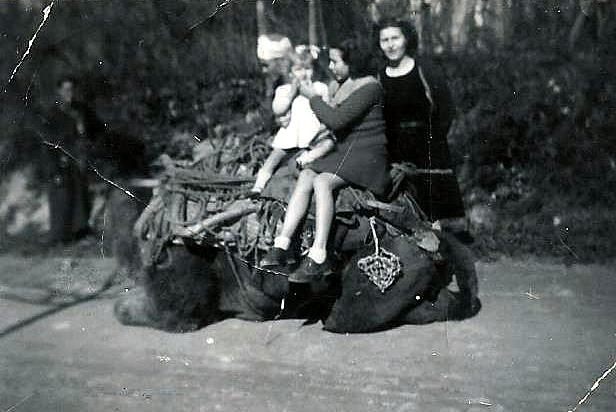 orsolini1943.jpg